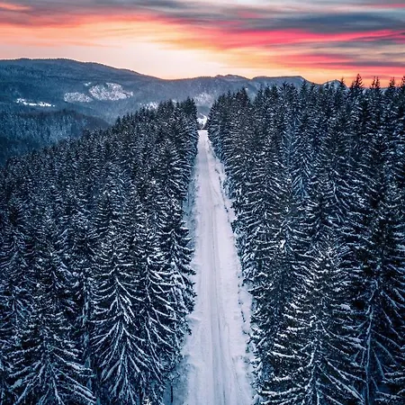 Zlatarska Pahulja --- 