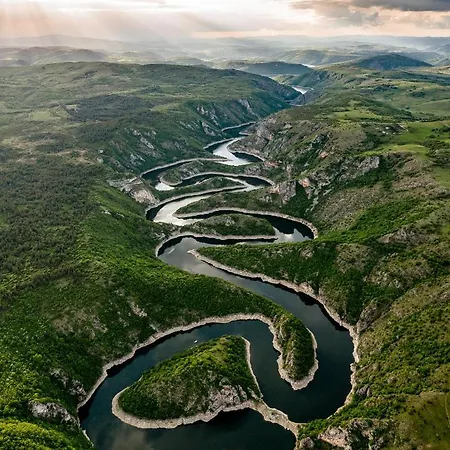 Zlatarska Pahulja --- 