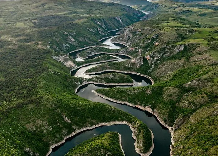 Zlatarska Pahulja --- 